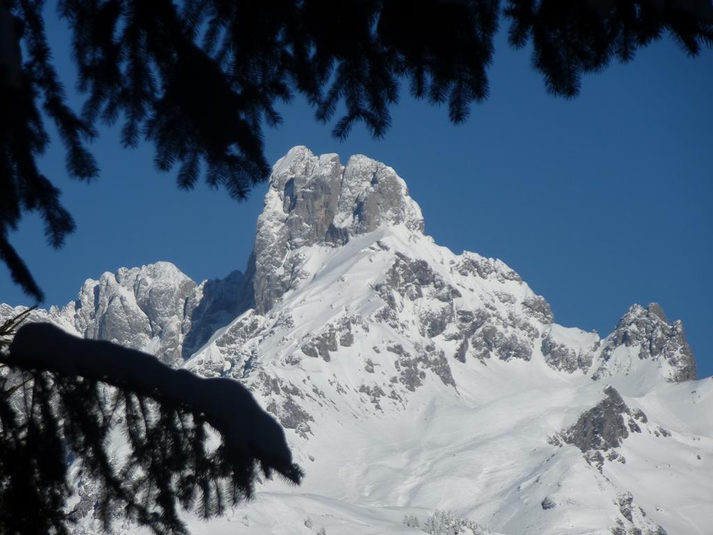Отель Fesengut Аннаберг-им-Ламмерталь Экстерьер фото